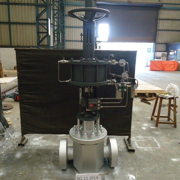 Severe Service Control Valves